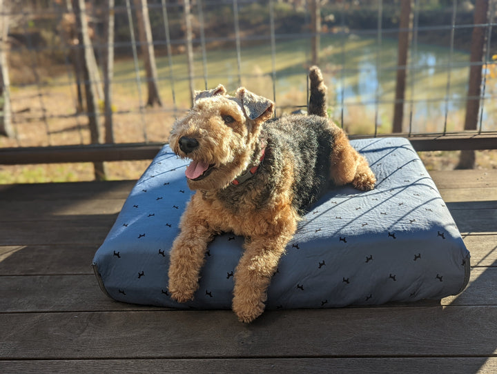 Blue Toby bed with pet on deck