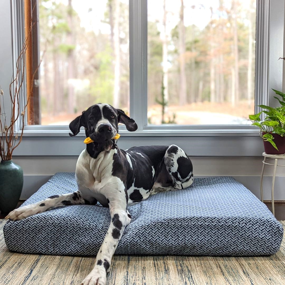 Blue Toby Pet Bed