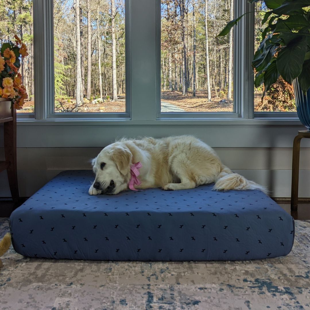 Blue Toby Pet Bed