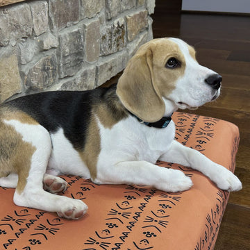 Blue Toby Pet Bed