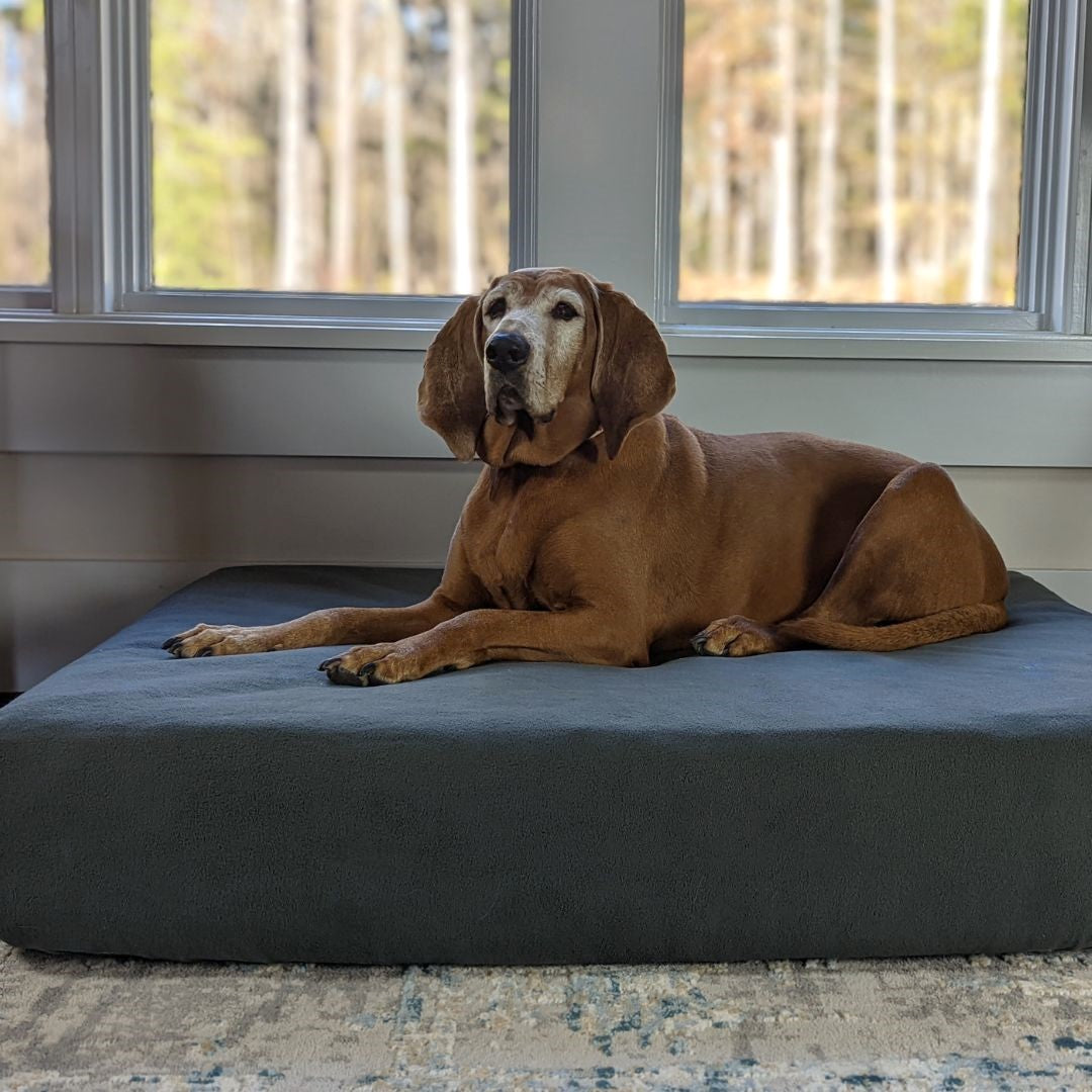 Blue Toby Pet Bed