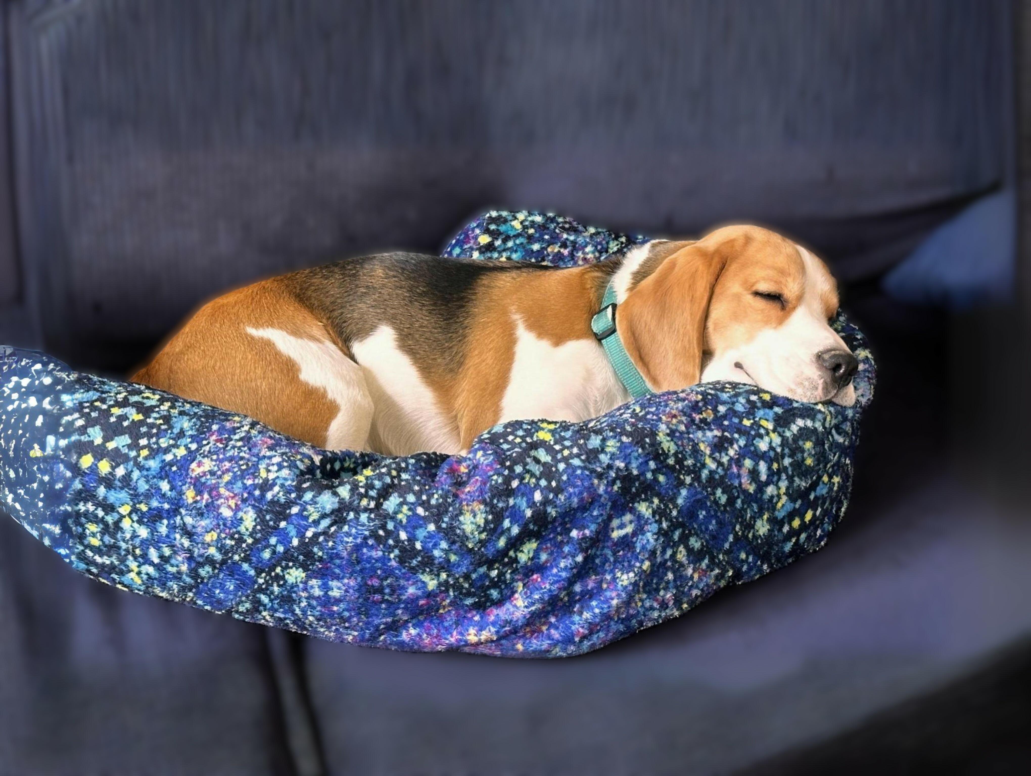 Deals Fish Shaped Cat Bed with Blue Scales and a Silver Head